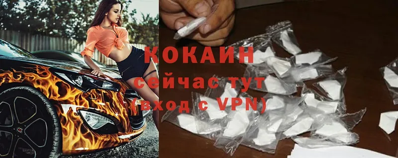 кракен онион  Заинск  Cocaine Эквадор  закладки 