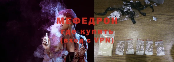 соль ск Ельня