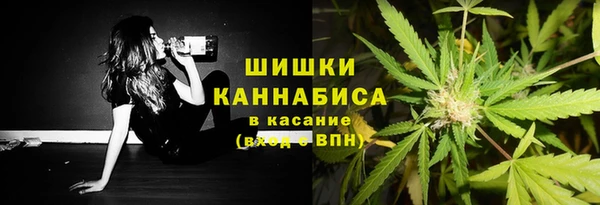 мескалин Елизово