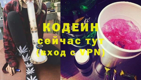 соль ск Ельня
