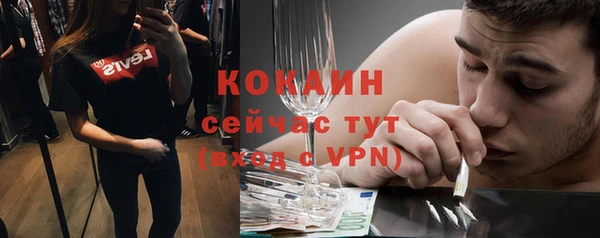 дживик Елабуга