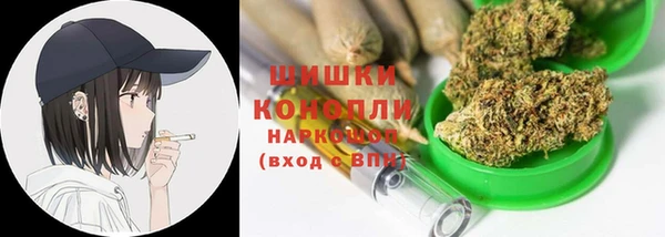 дживик Елабуга
