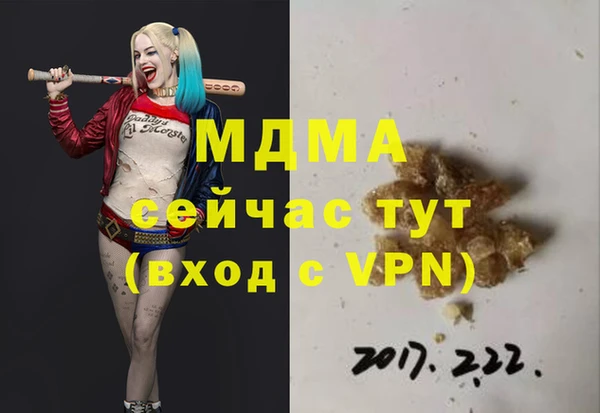 соль ск Ельня