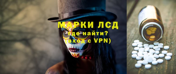 дживик Елабуга