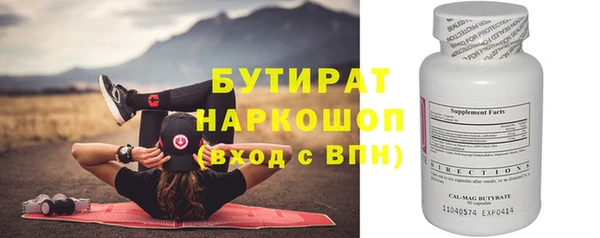 соль ск Ельня
