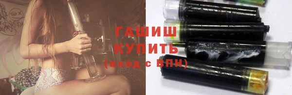 соль ск Ельня