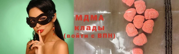 соль ск Ельня
