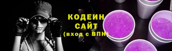 соль ск Ельня