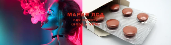 соль ск Ельня
