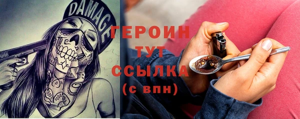 соль ск Ельня