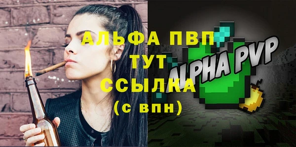 соль ск Ельня