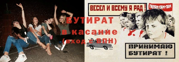 соль ск Ельня