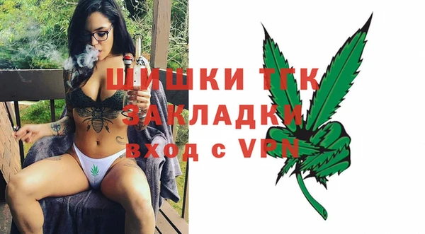 соль ск Ельня