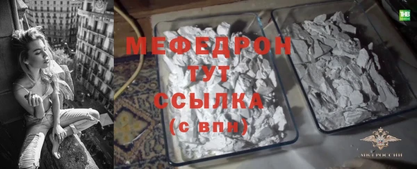 соль ск Ельня