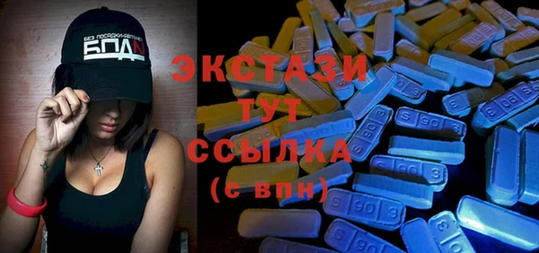 соль ск Ельня