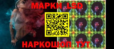 PSILOCYBIN Краснодар