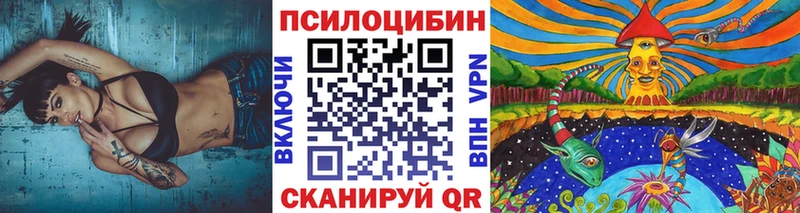 Псилоцибиновые грибы ЛСД  маркетплейс наркотические препараты  Заинск 