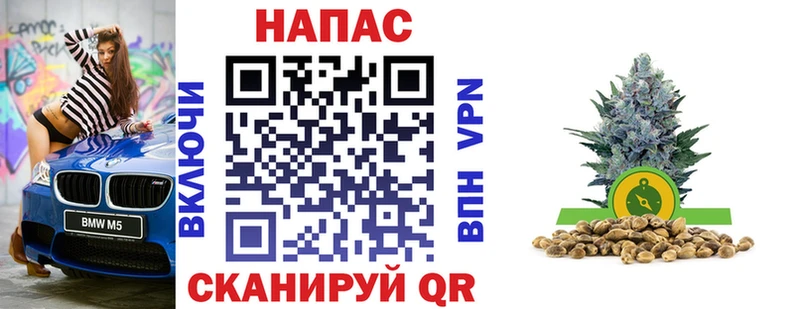 Конопля Amnesia  где купить   Заинск 